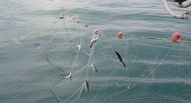 Van Gölü'nde balıkçılar ağlarını suya bıraktı