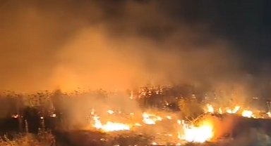Van'da 4 ayrı noktada yangın