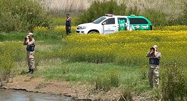 Van'da 58 ton ölü inci kefali ele geçirildi, toplam 2,3 milyon lira ceza uygulandı