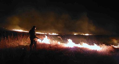Van'da anız yangını