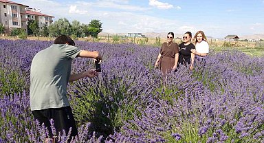 Van'da rengarenk tıbbi bitkilerin hasadı yapıldı