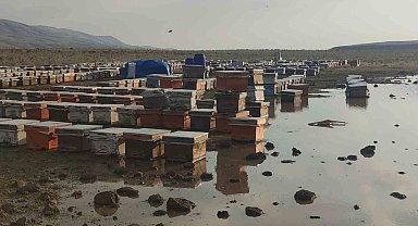 Van'da sağanak yağmur arı kovanlarını vurdu