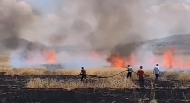 Van'da tarım arazisinde yangın