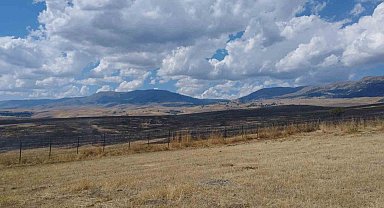 Varto'da anız yangını