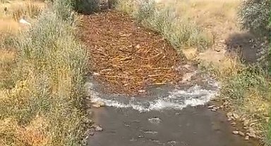 Varto'da dereler taştı, tarım arazileri sular altında kaldı