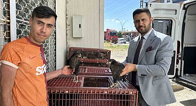 Yüksekova'da 5 bin kanatlı hayvan dağıtıldı