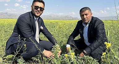 Yüksekova'da nohut bereketi