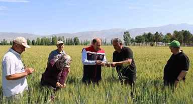 2024 Yılı Bitkisel üretim destekleri açıklandı