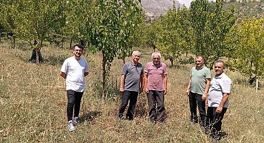 74 yaşındaki Kemaliyeli öğretmen 19 bin ağacı toprakla buluşturdu