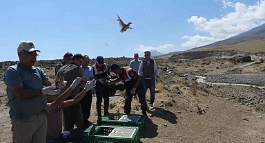Ağrı Dağı Milli Parkı'na kınalı keklikler salındı