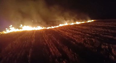 Ağrı'da 3 bin dönümlük tarla küle döndü