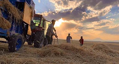 Ağrı'da çiftçiler sıcak havada hasada devam ediyor