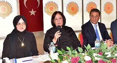 Ahlat'ta 'Van Gölü Havzası Koruma Eylem Planı ve Uygulama Programı' toplantısı yapıldı