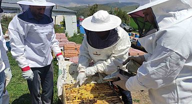 AK Parti Milletvekili Koç, özel kıyafetleri giyip bal hasadına katıldı