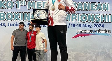 Alpaslan Hamza, Macaristan yolcusu