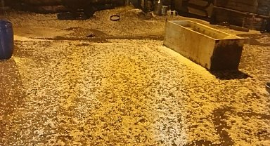 Ardahan'da sağanak yağış sele neden oldu