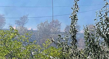 Arguvan'da çıkan yangın meyve ağaçlarına zarar verdi