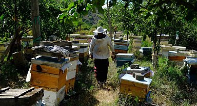 Arıcılar hasat için gün sayıyor