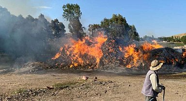 Başkale'de 4 bin bağ ot kül oldu