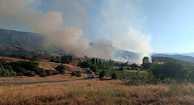 Bingöl'de 1 haftada çıkan yangınlarda 7 hektarlık alan yandı