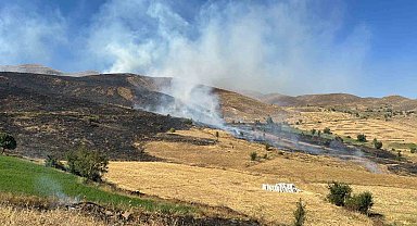 Bingöl'de 113 yangında 142 hektarlık alan zarar gördü