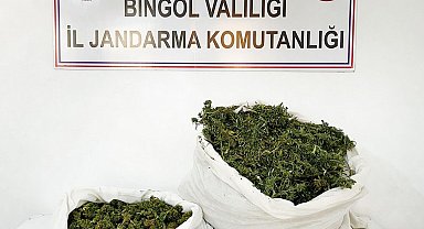 Bingöl'de 12 kilo esrar ele geçirildi: 1 gözaltı