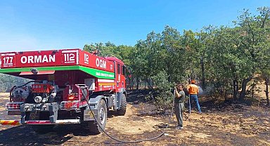 Bingöl'de 6 bölgede çıkan yangınlar söndürüldü