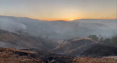 Bingöl'de çıkan orman yangını güçlükle kontrol altına alındı