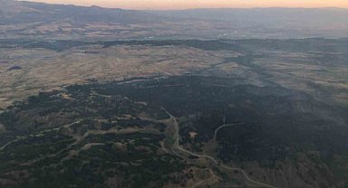 Bingöl'de dün çıkan orman yangınında 55 hektarlık alan zarar gördü