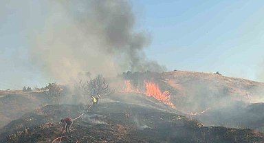 Bingöl'de Orman Yangını