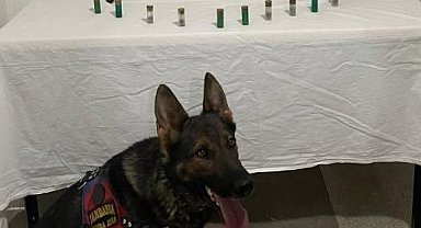 Bingöl'de kaleşnikof ve yivsiz av tüfeği ele geçirildi