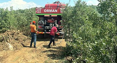 Bingöl'de Orman Yangını