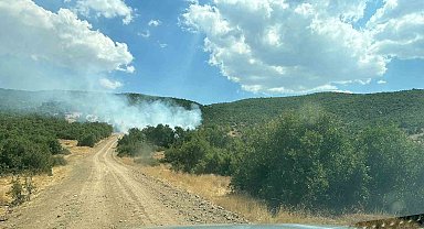 Bingöl'de Orman Yangını