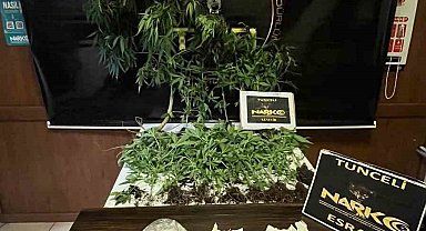 Bu kadarına da pes: Evin içine uyuşturucu yetiştirmek için sera kurmuşlar