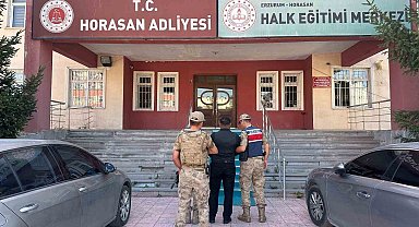 Büyükbaş hayvan hırsızları jandarmadan kaçamadı