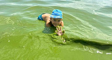 Çıldır Gölü yeşil renge büründü