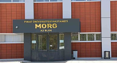 Devrilen traktörün altında kalarak hayatını kaybetti