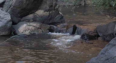 Doğa fotoğrafçısı Deliçay'da çöp topladı