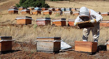 Elazığ Arı Yetiştiricileri Birliği, birinci derecede tarımsal örgüt unvanını kazandı
