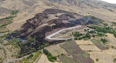 Elazığ'da 200 dönüm alan yangında kül oldu