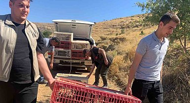 Elazığ'da doğaya keklik salımı gerçekleştirildi, alan 3 yıl boyunca ava kapatıldı
