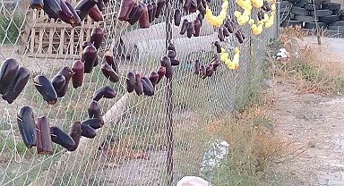 Elazığ'da kurutmalıklar sokakların süsü oldu