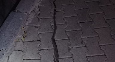 Elazığ'da lavaboya giren 2 metrelik yılan korkuttu