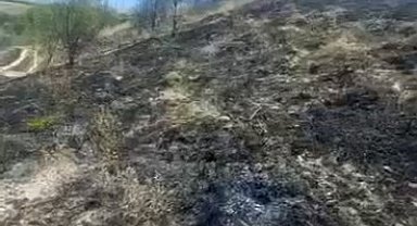 Elazığ'da otluk alanda korkutan yangın