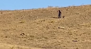 Elazığ'da toplanan sokak köpekleri Hayvan Bakımevi ve Rehabilitasyon Merkezi'nde kontrol altına alınıyor