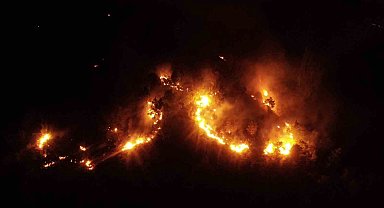 Elazığ'daki orman yangını kontrol altına alındı