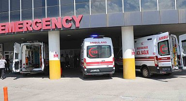 Erzincan'da başıboş köpekler bahçede oturan yaşlı kadına saldırdı