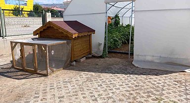 Erzincan'da okuldaki çiftlik büyümeye devam ediyor