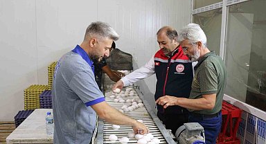 Erzincan'da tam otomatik tesislerde üretilen yumurtalar tarıma değer katıyor