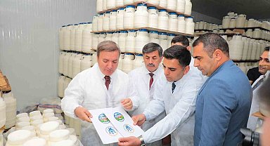 Erzincan'da tescilli tulum peyniri satışı artacak